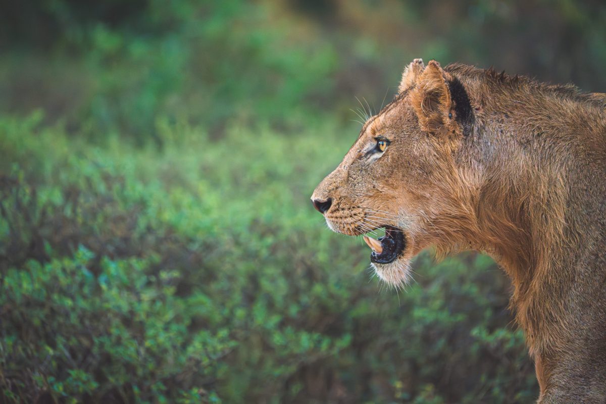 DSC03584-Enhanced-NR