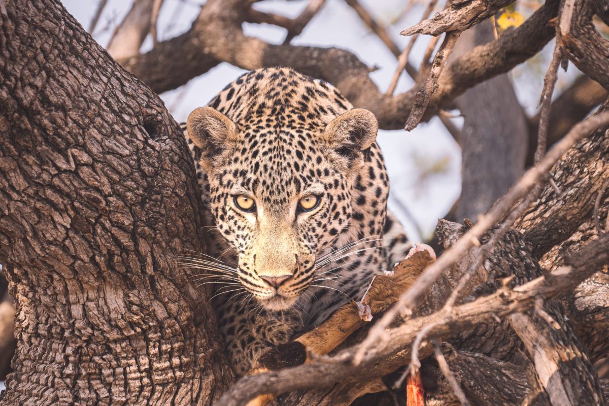 DSC04145-Enhanced-NR