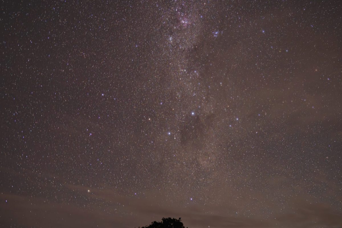 DSC08349-Enhanced-NR