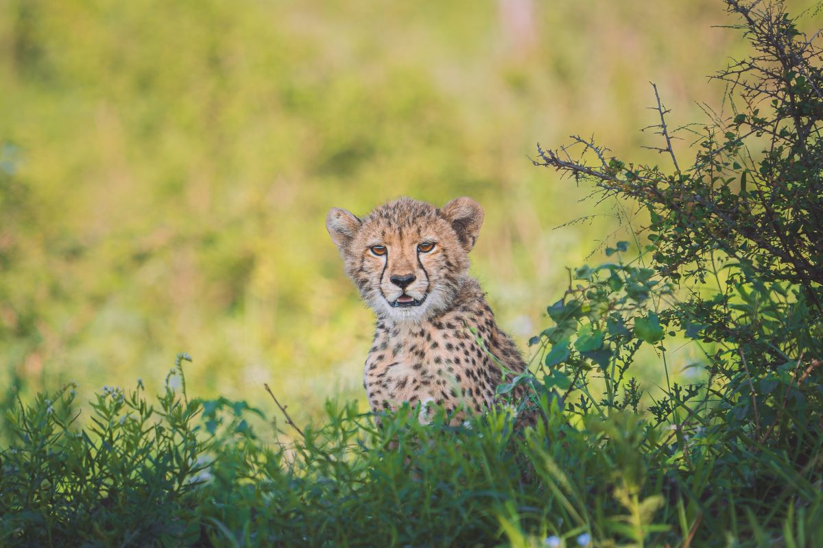 DSC09549-Enhanced-NR